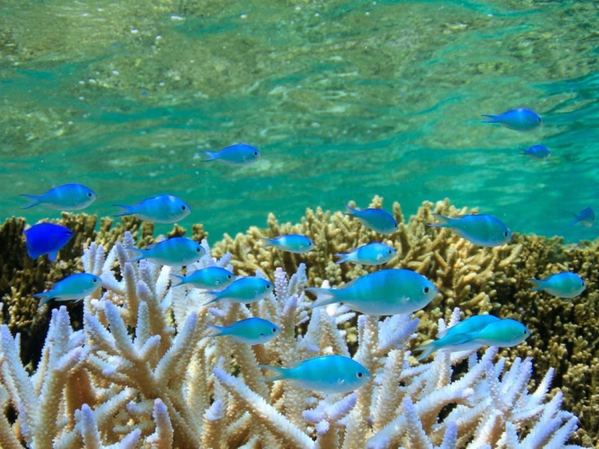 Hot Cross Point Santa Monica Miyakojima (Okinawa) Exterior foto